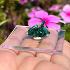 Dioptase Specimen