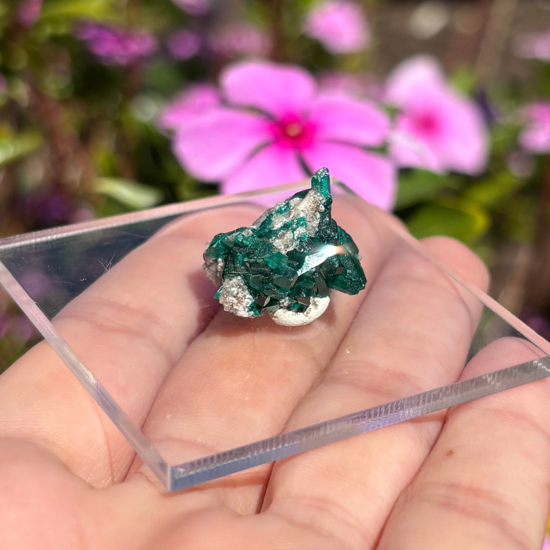 Dioptase Specimen
