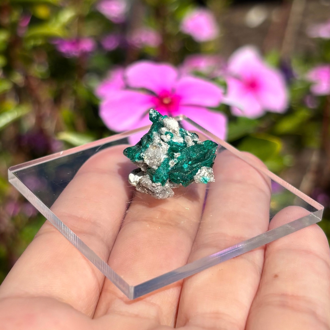 Dioptase Specimen