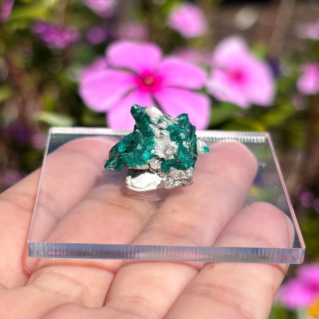 Dioptase Specimen