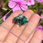 Dioptase Specimen
