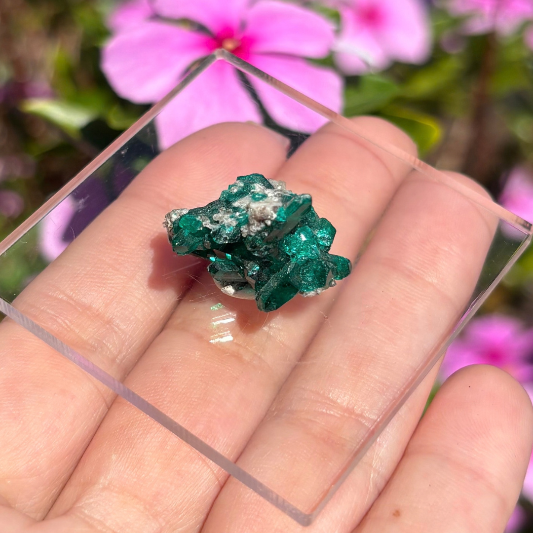 Dioptase Specimen