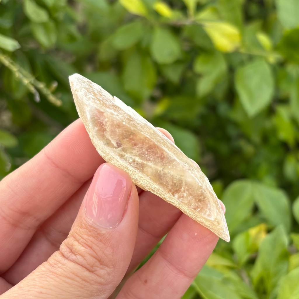 Selenite - Golden (Fluoresces under UV light)