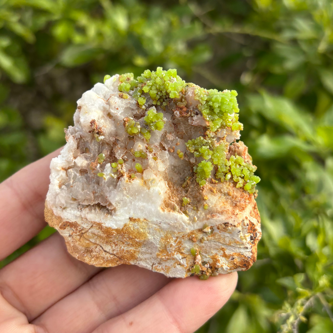 Pyromorphite Specimen