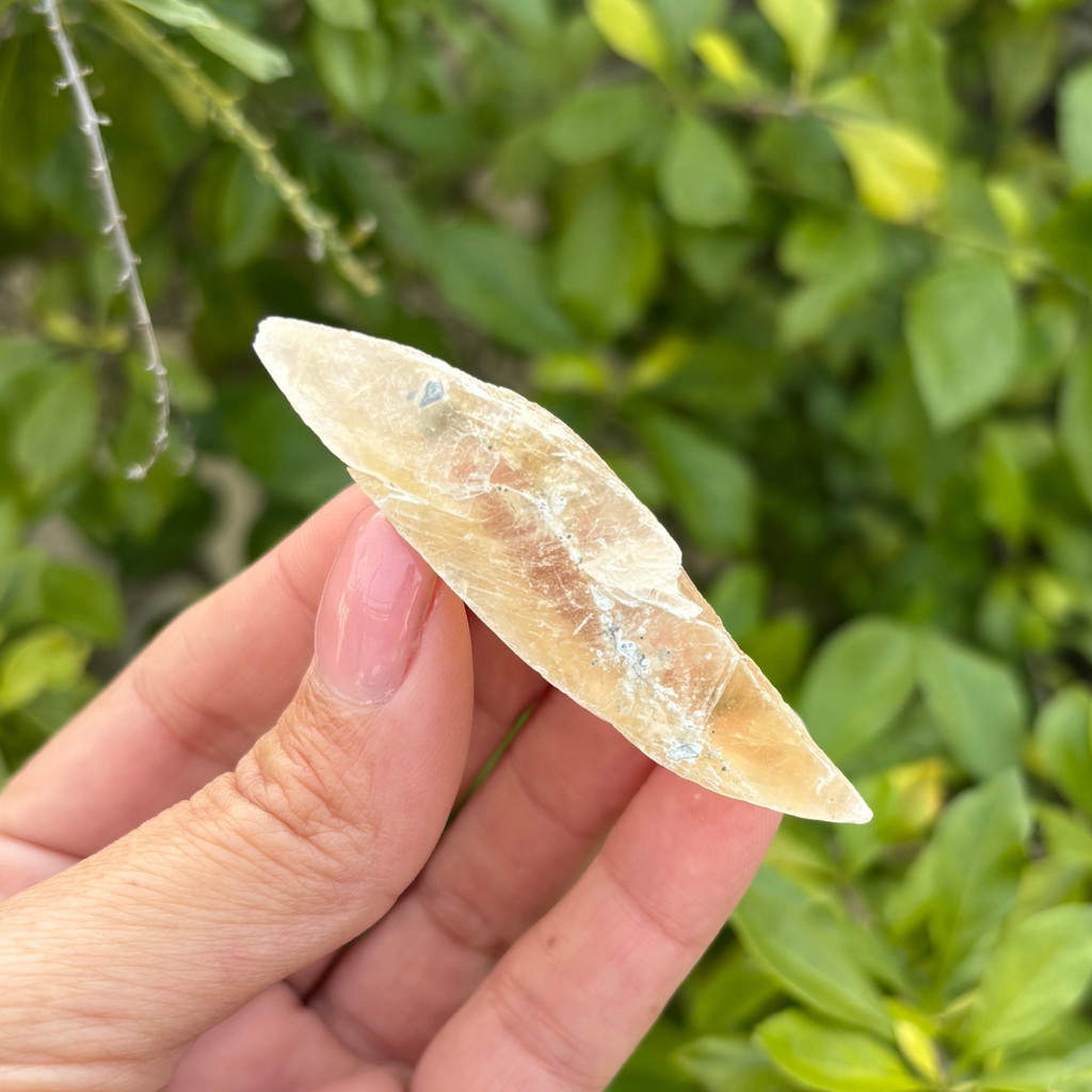 Selenite - Golden (Fluoresces under UV light)