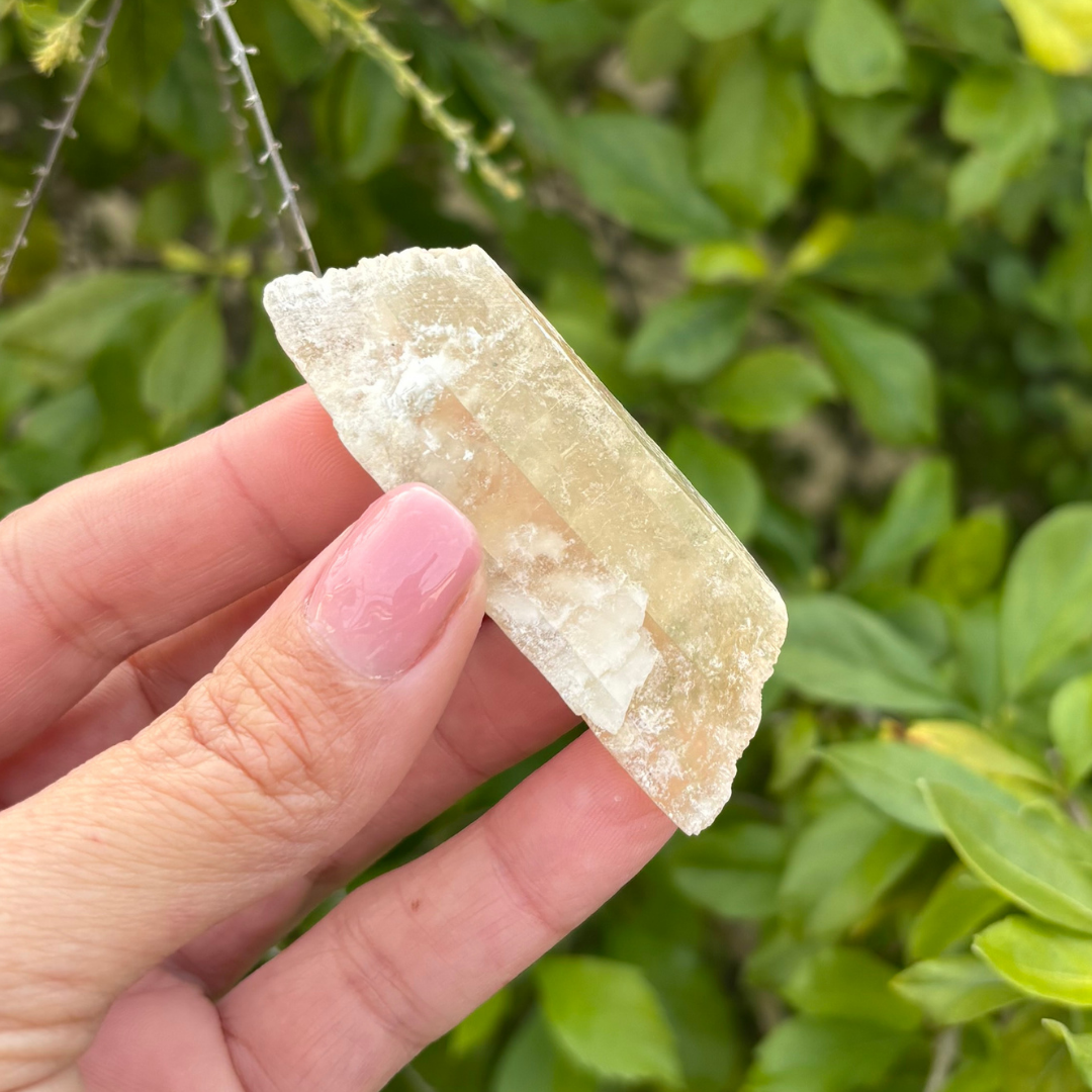 Selenite - Golden (Fluoresces under UV light)