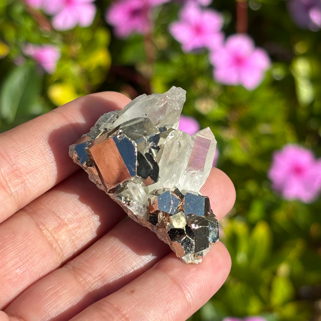 Clear Quartz with Pyrite Cluster