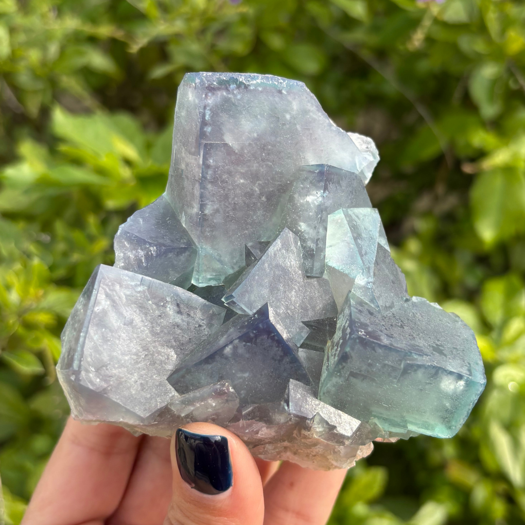 Fluorite (Colour Changing) Specimen