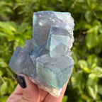Fluorite (Colour Changing) Specimen