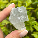 Fluorite (Soft Green) Specimen
