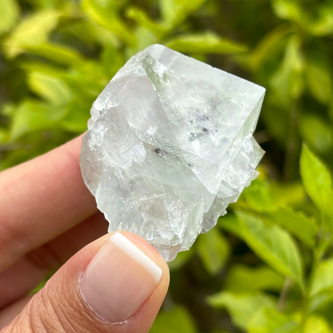 Fluorite (Soft Green) Specimen