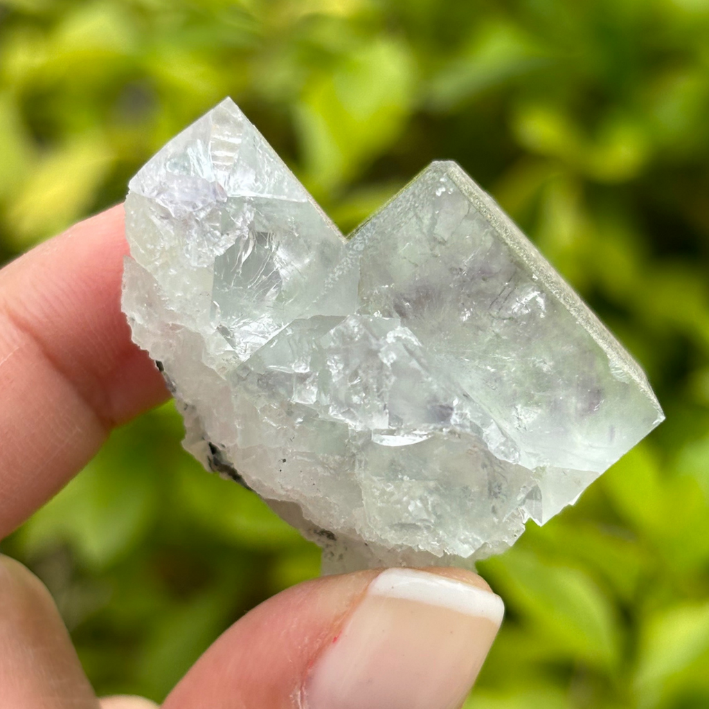 Fluorite (Soft Green) Specimen
