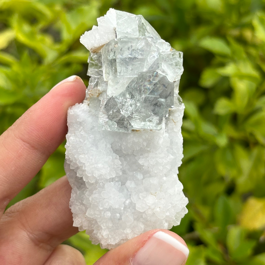 Clear Fluorite Cluster with Quartz