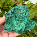 Malachite Specimen (Silky Velvet)