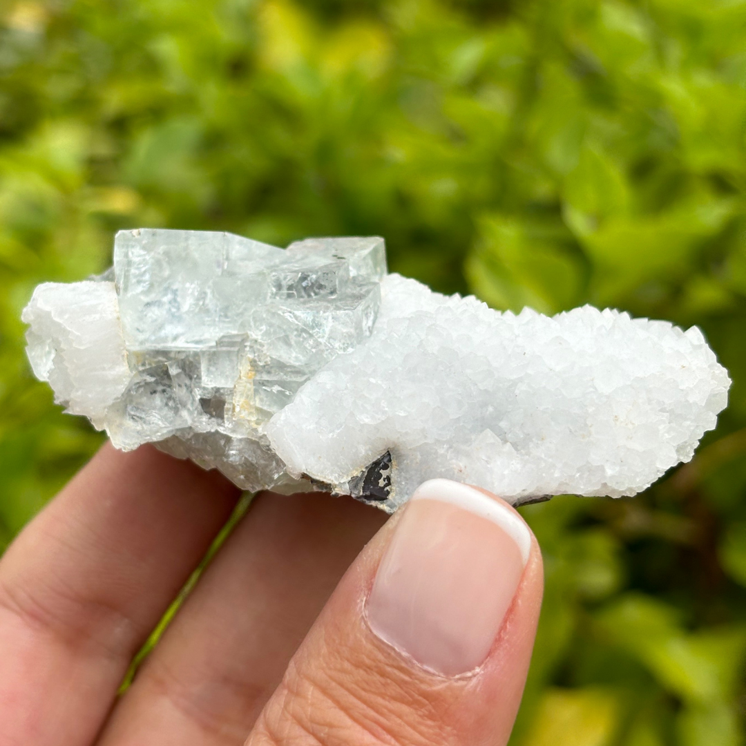 Clear Fluorite Cluster with Quartz