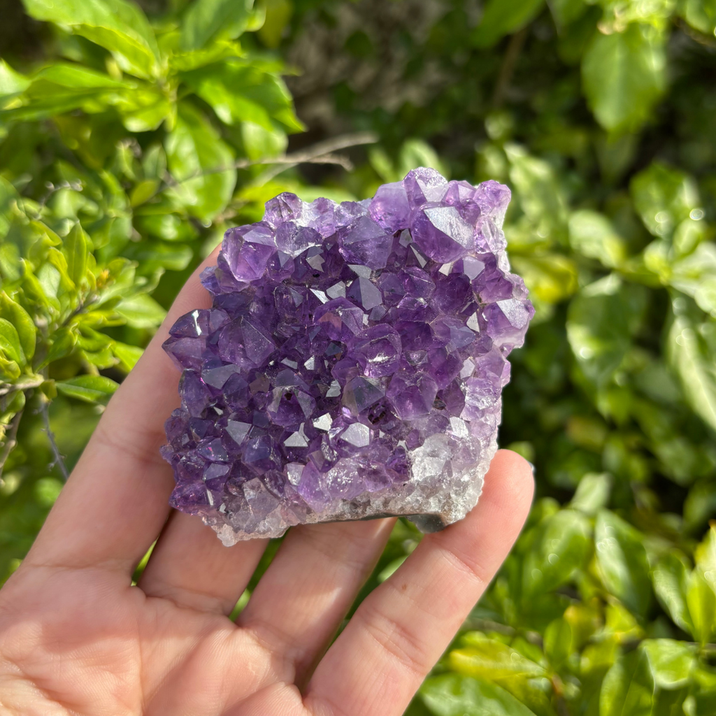 Amethyst Cluster Specimen