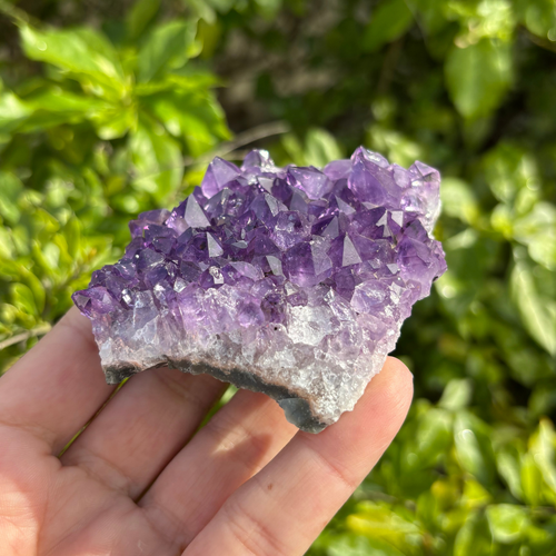 Amethyst Cluster Specimen