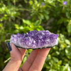 Amethyst Cluster Specimen