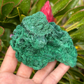 Malachite Specimen (Silky Velvet)