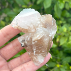 Calcite (Phantom) Specimen (Fluoresces under UV light)