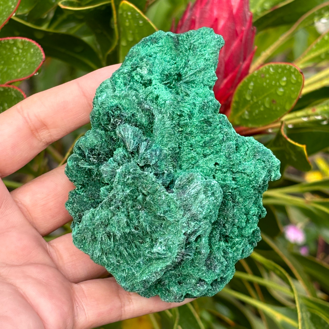 Natural Fibrous Velvet Malachite Specimen - Large