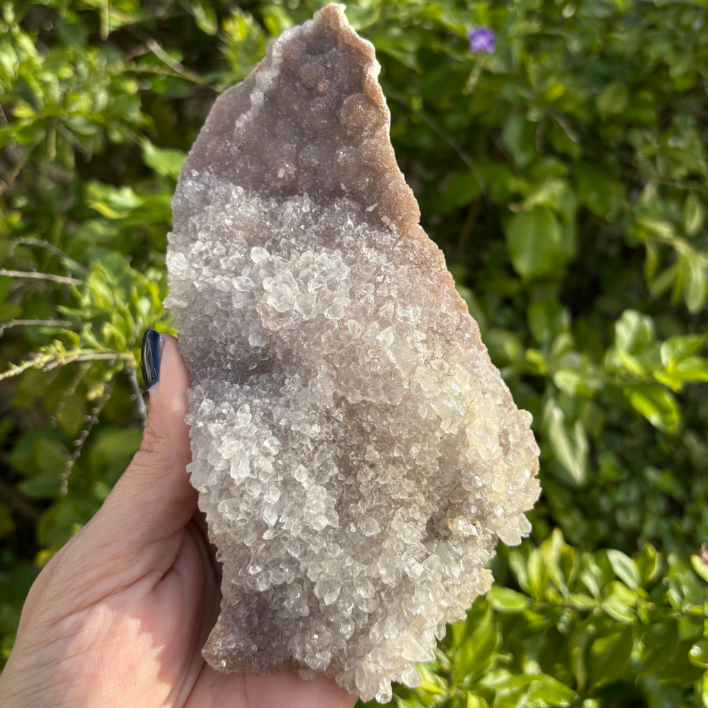 Quartz Crust (var. Amethyst) Specimen