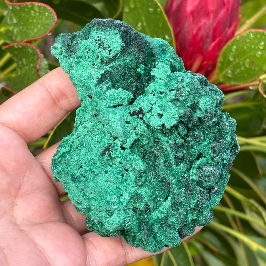 Natural Fibrous Velvet Malachite Specimen - Large