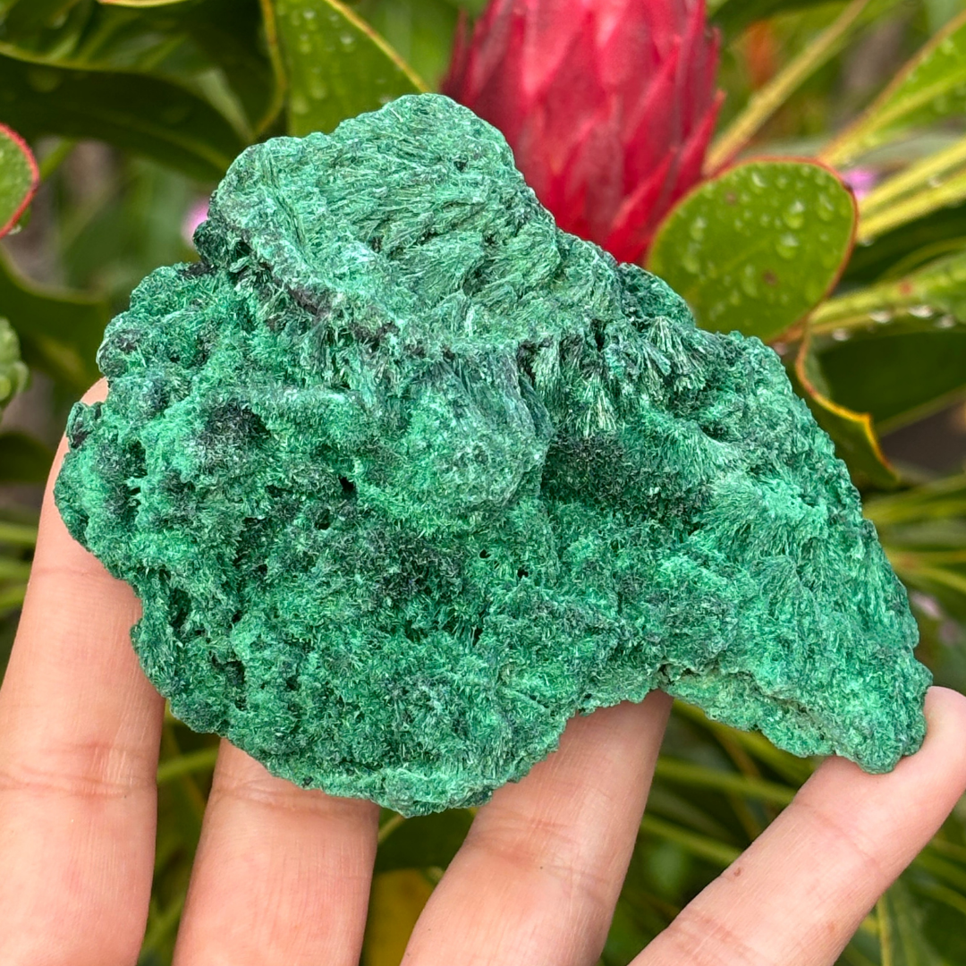 Natural Fibrous Velvet Malachite Specimen - Large