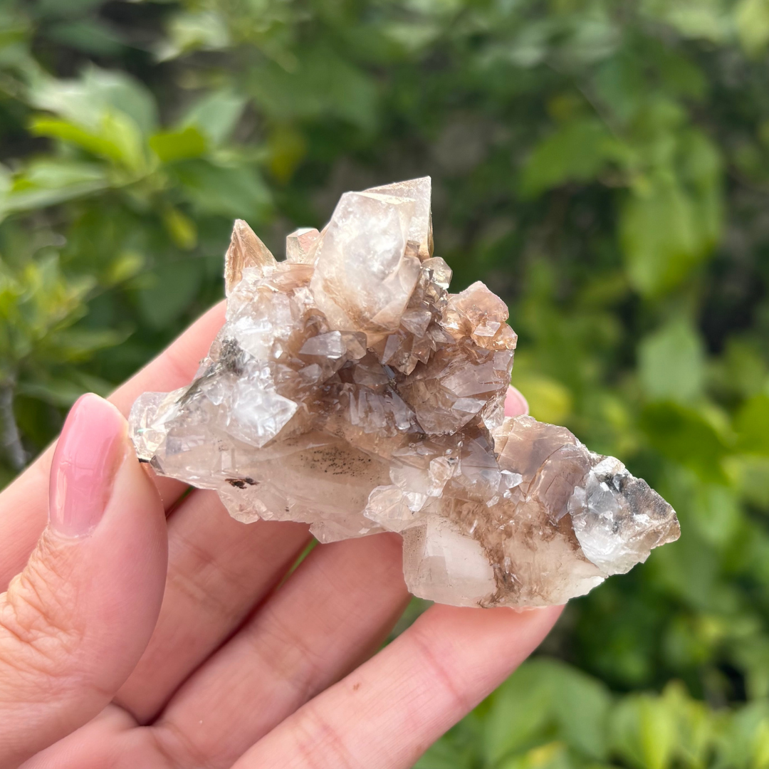 Calcite (Phantom) Specimen (Fluoresces under UV light)
