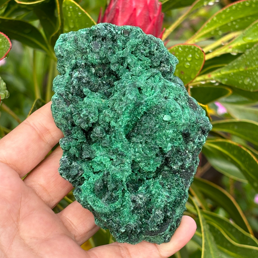 Natural Fibrous Velvet Malachite Specimen - Large
