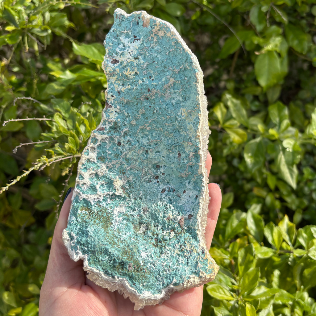 Quartz Crust (var. Amethyst) Specimen