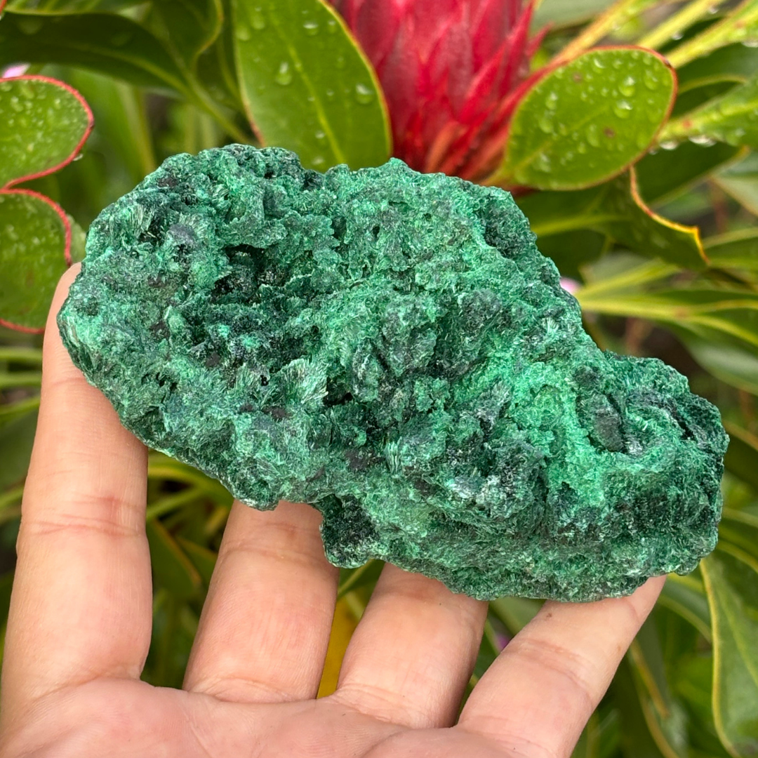 Natural Fibrous Velvet Malachite Specimen - Large