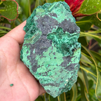 Malachite Specimen (Silky Velvet)