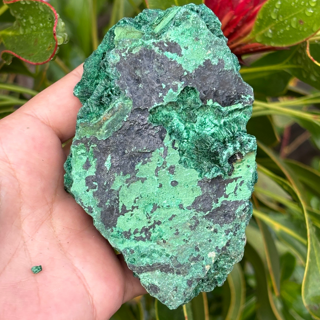 Natural Fibrous Velvet Malachite Specimen - Large