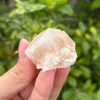 Calcite (Phantom) Specimen (Fluoresces under UV light)