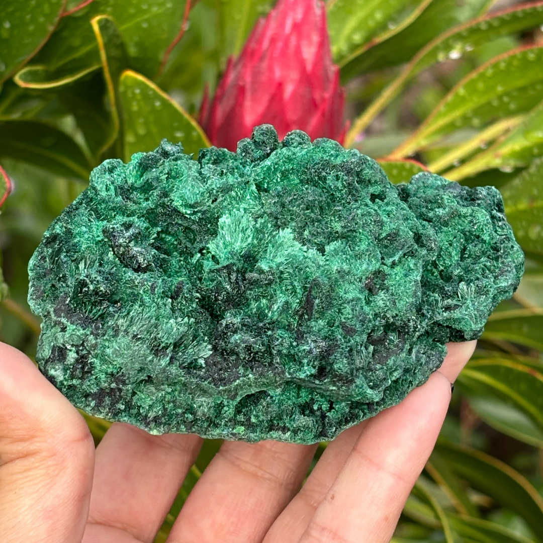 Natural Fibrous Velvet Malachite Specimen - Large