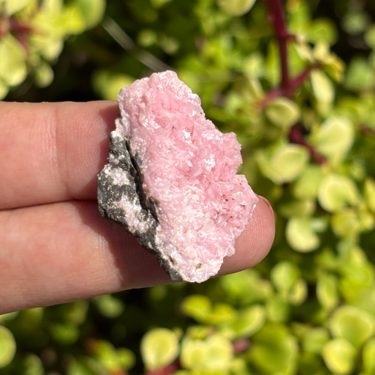 Rhodochrosite Cluster Rare - Thumbnail