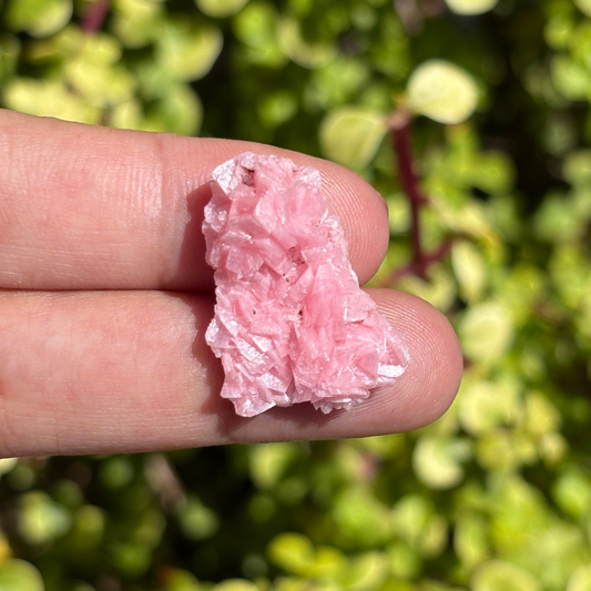 Rhodochrosite Cluster Rare - Thumbnail