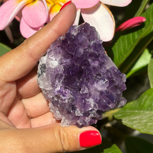 Amethyst Cluster