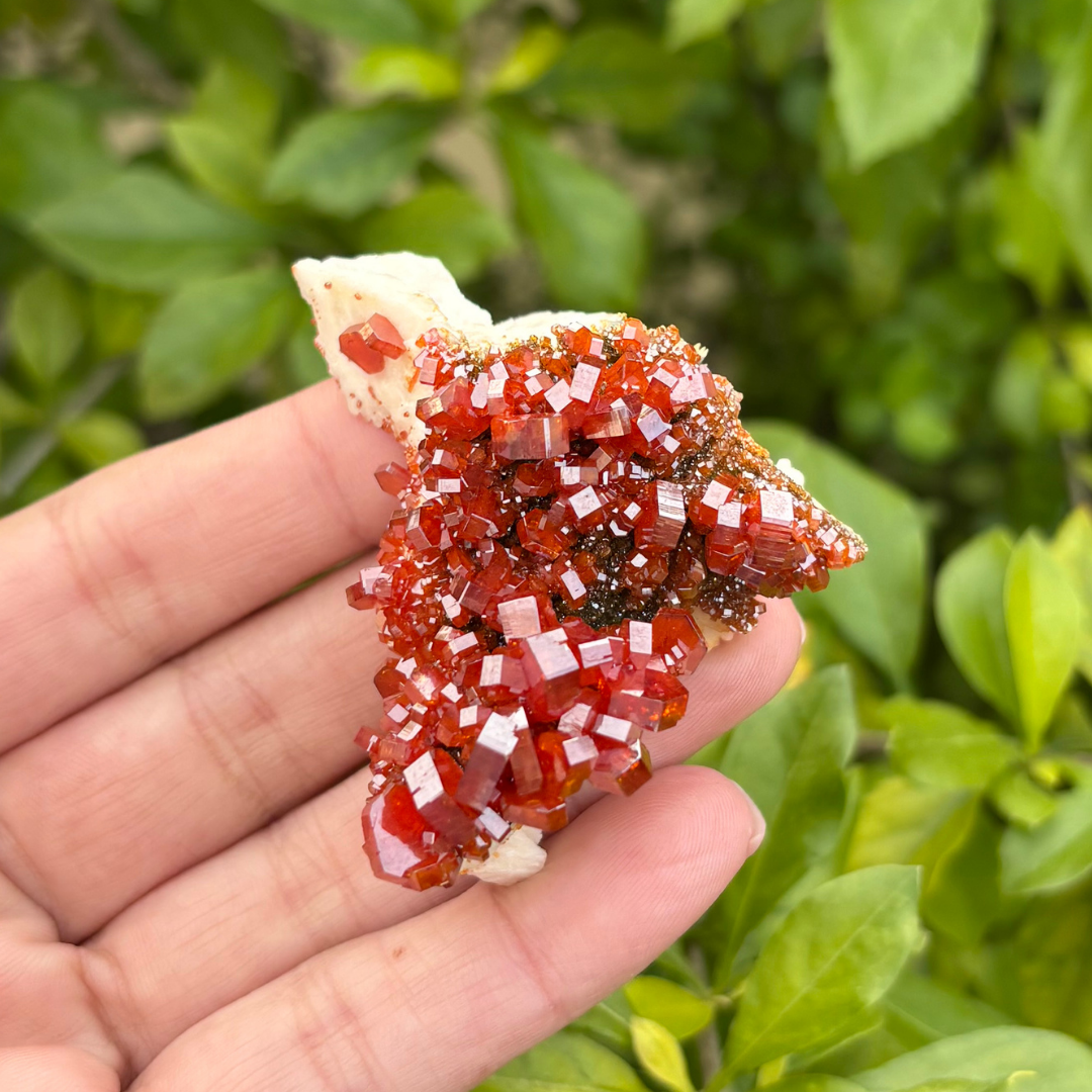Vanadinite on Baryte Specimen