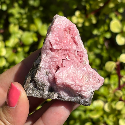 Rhodochrosite Cluster Rare - Small Cabinet