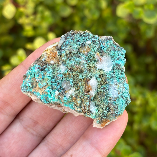 Aurichalcite Specimen