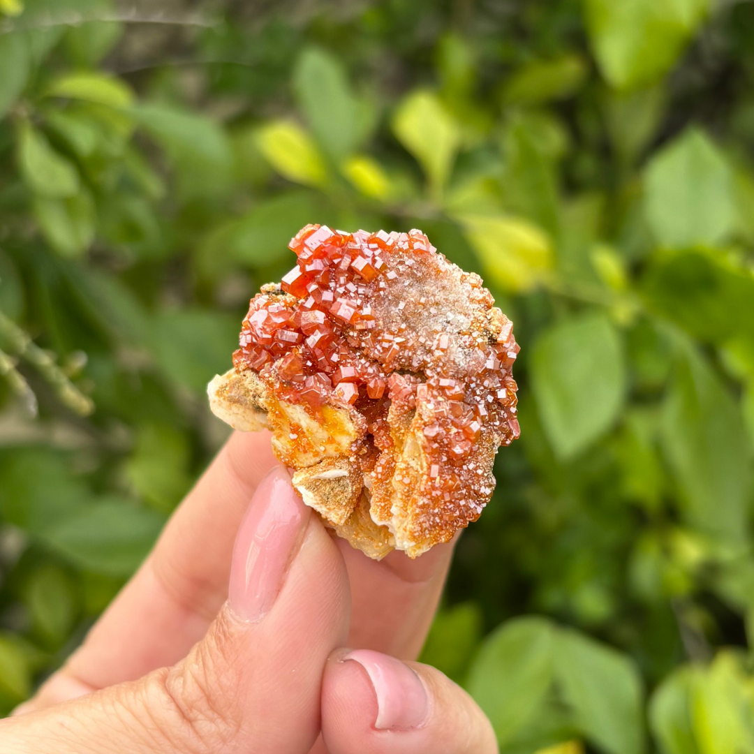 Vanadinite on Baryte Specimen