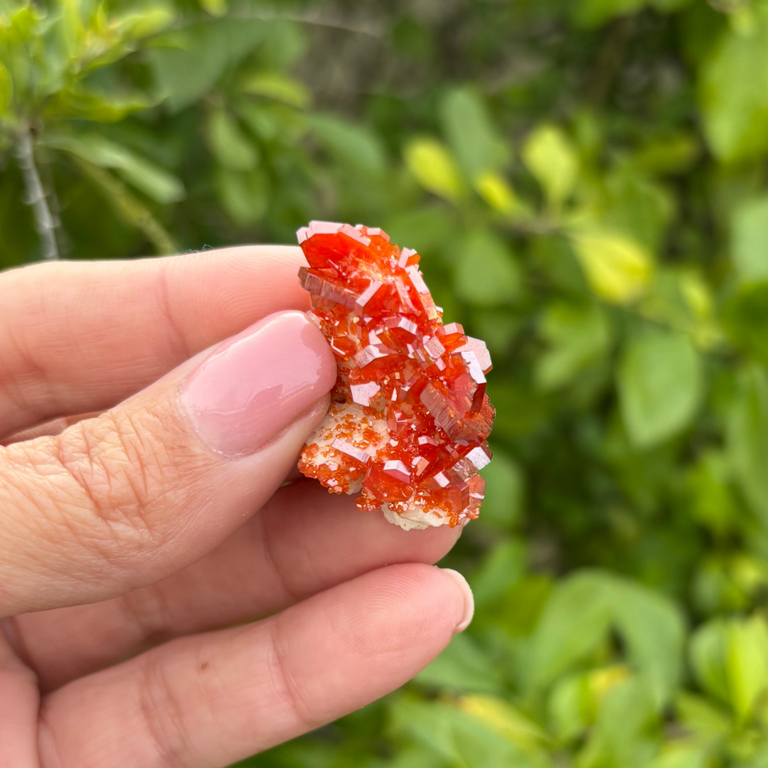 Vanadinite on Baryte Specimen