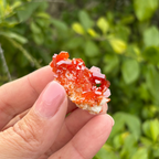 Vanadinite on Baryte Specimen