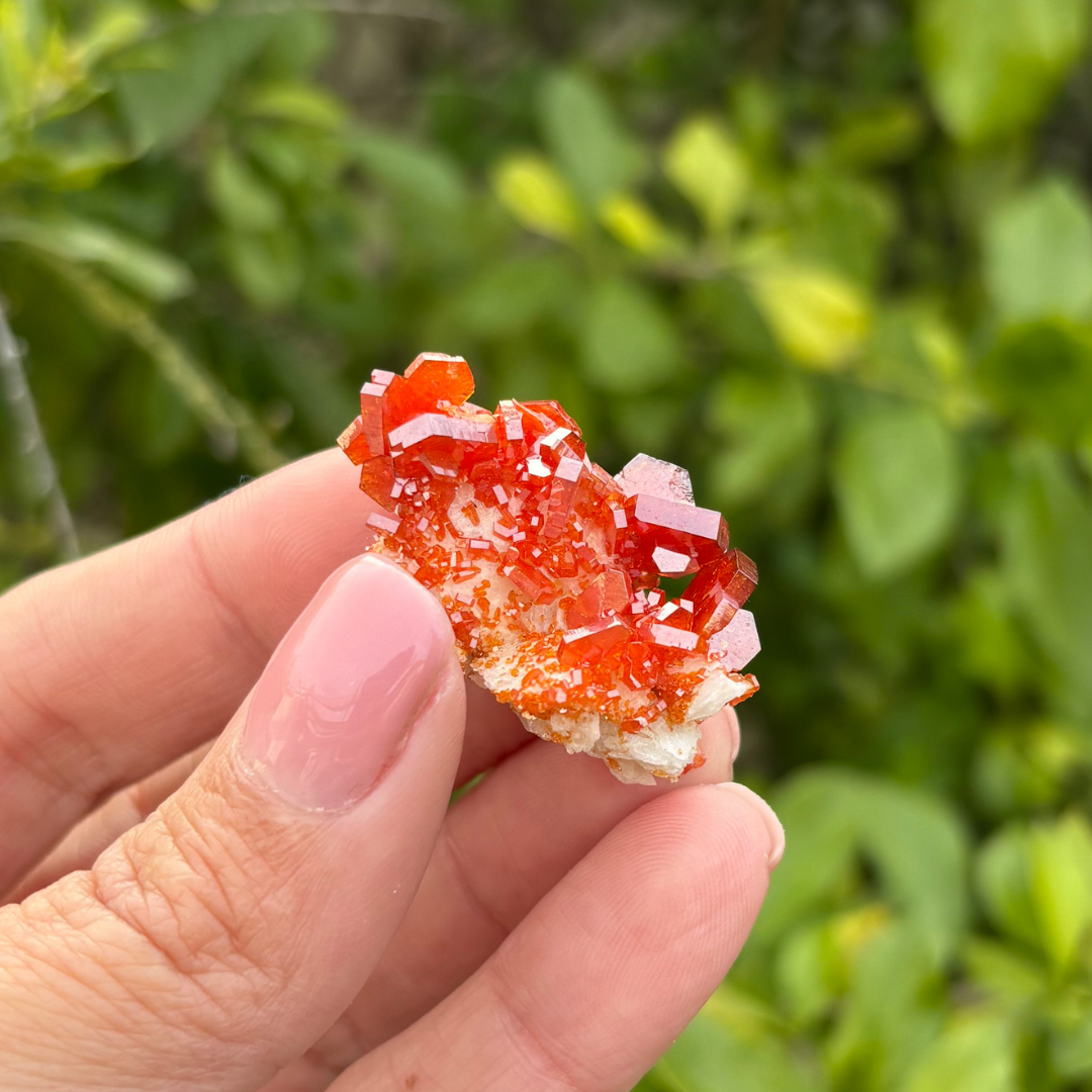 Vanadinite on Baryte Specimen