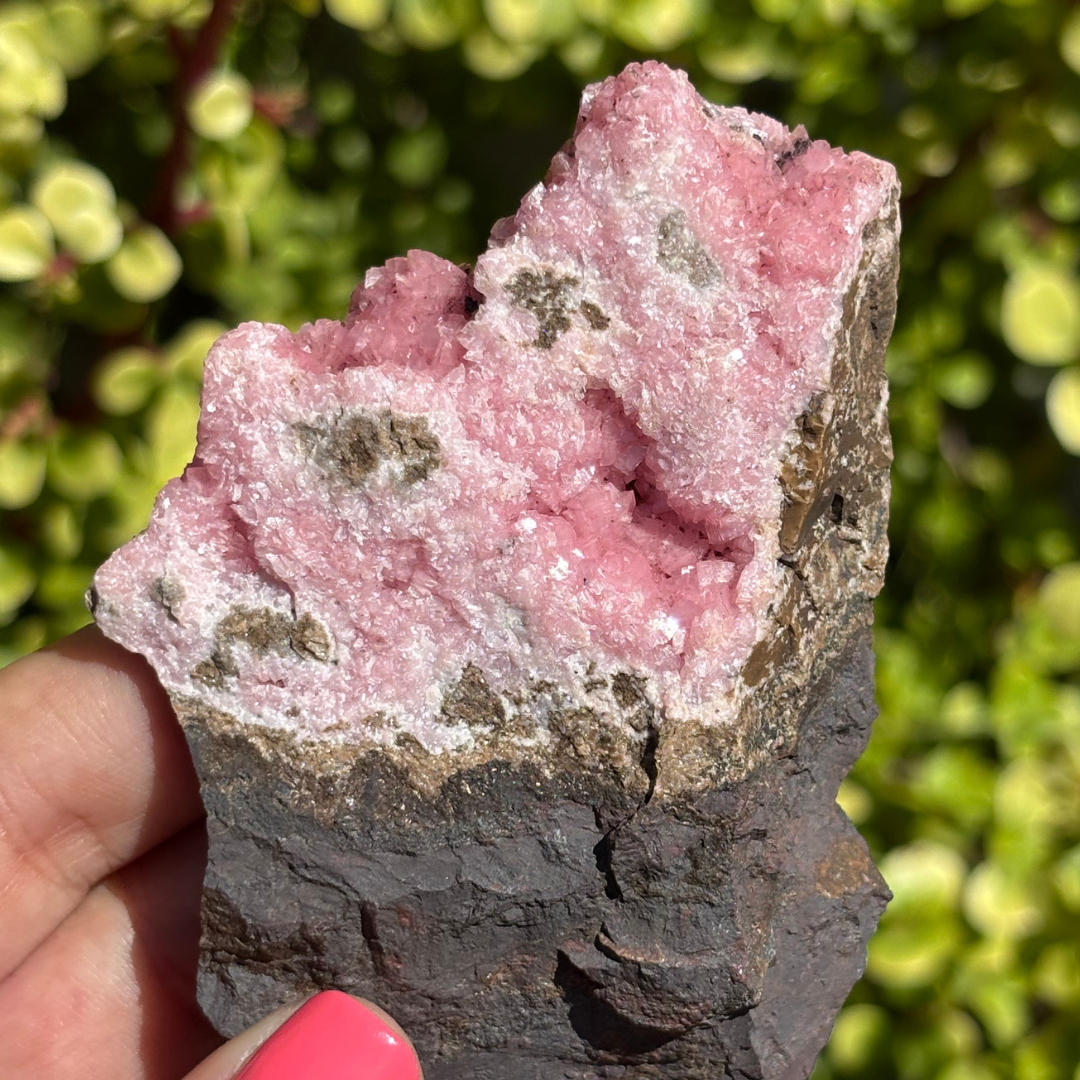 Rhodochrosite Cluster Rare - Small Cabinet