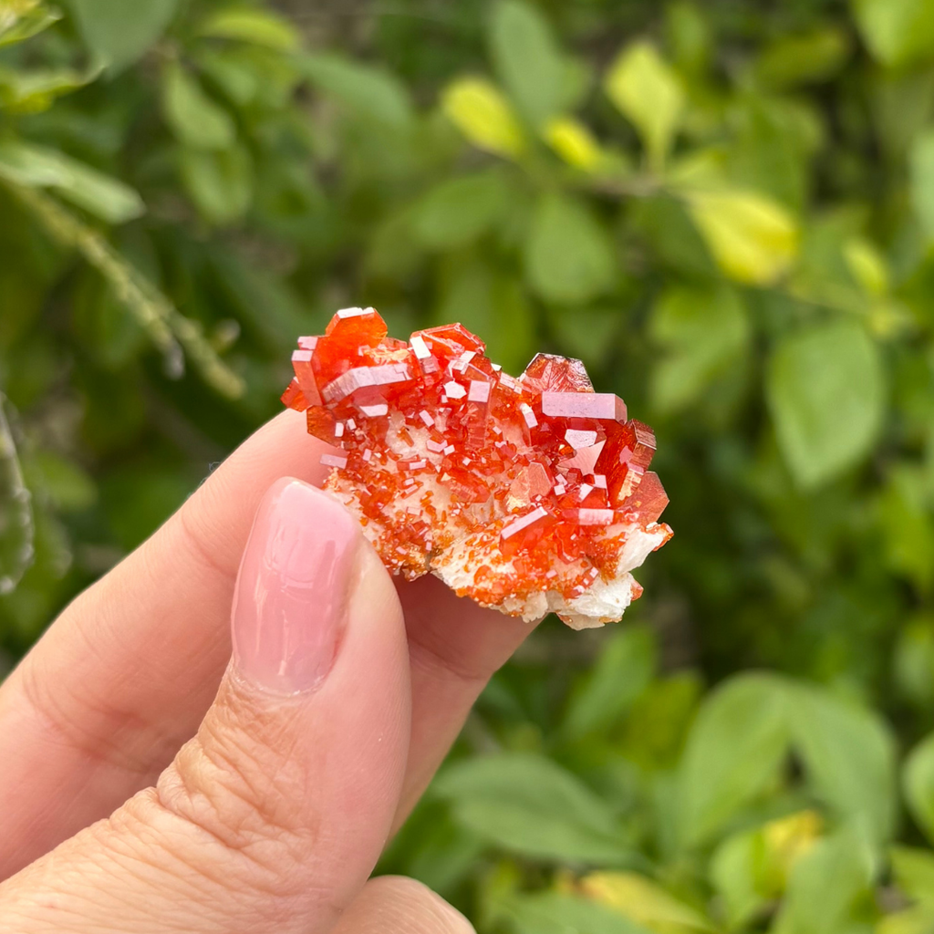 Vanadinite on Baryte Specimen