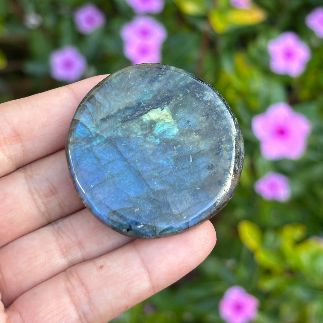 Labradorite Disc / Coin
