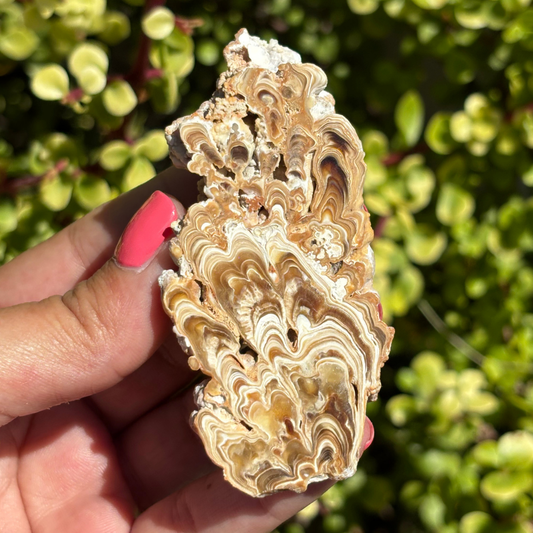 Calcite Stalactite Slice (Hungary)
